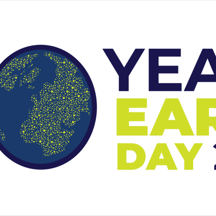 10 Ways to Celebrate Earth Day at Home