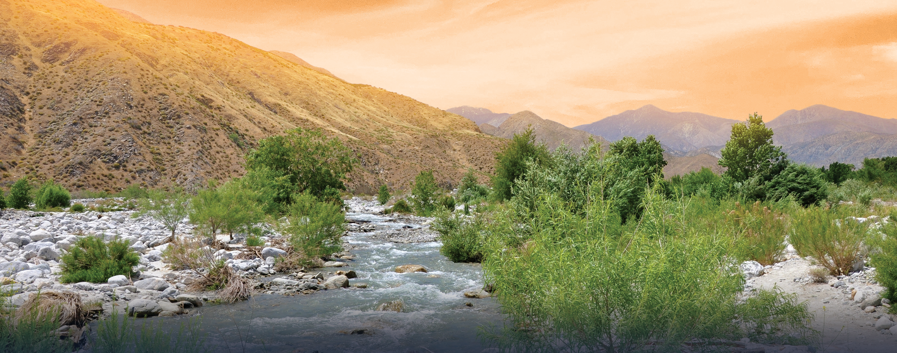 Writing "Water in the Desert"