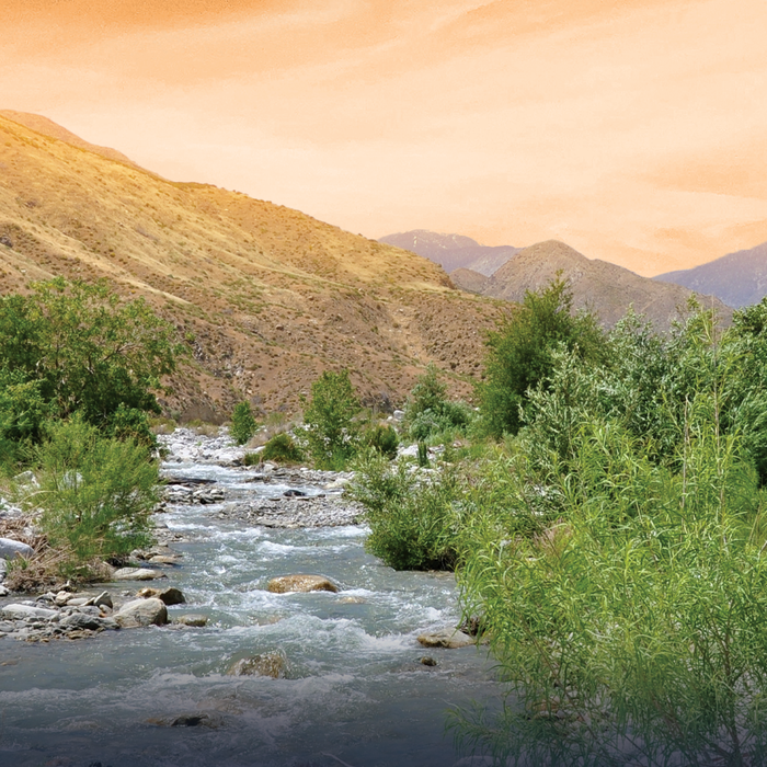 Writing "Water in the Desert"