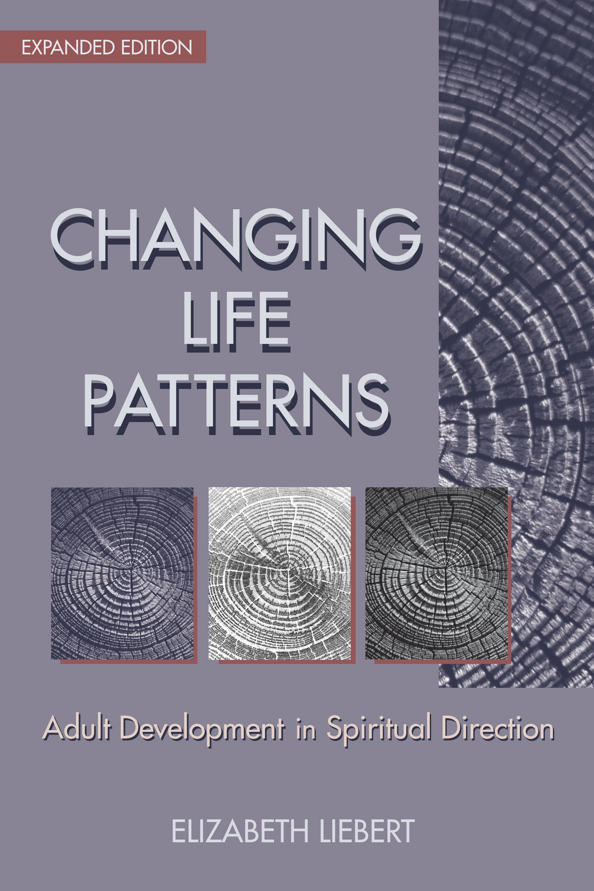 Changing Life Patterns: Adult Development in Spiritual Direction ...