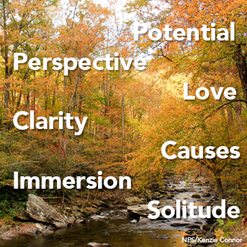 PREORDER: The National Parks Inspiration Guide